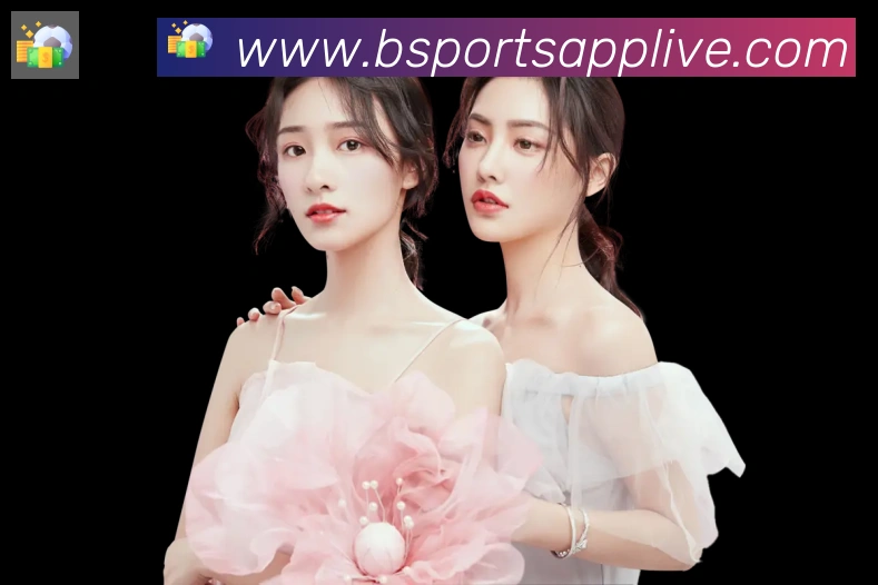 Bsports官网荣誉