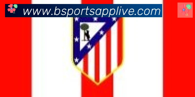 Bsports官网合作伙伴