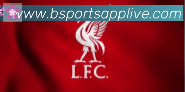 Bsports官网合作伙伴